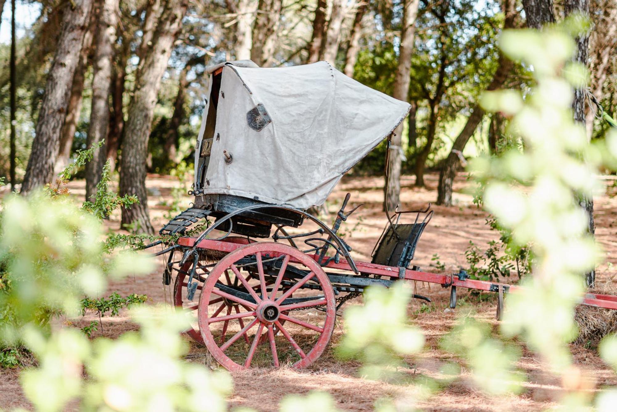 19 Secolo - Trulli Con Foresta, Bici E Barbecue Cisternino Exterior photo