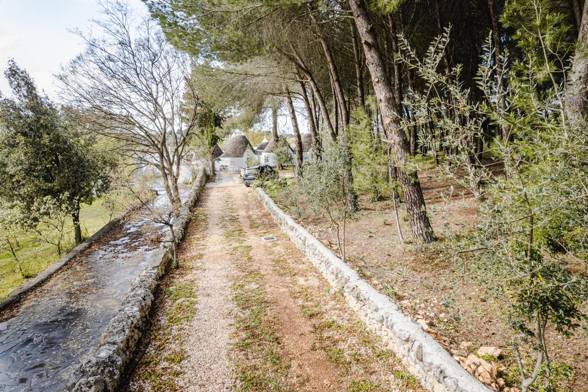 19 Secolo - Trulli Con Foresta, Bici E Barbecue Cisternino Exterior photo