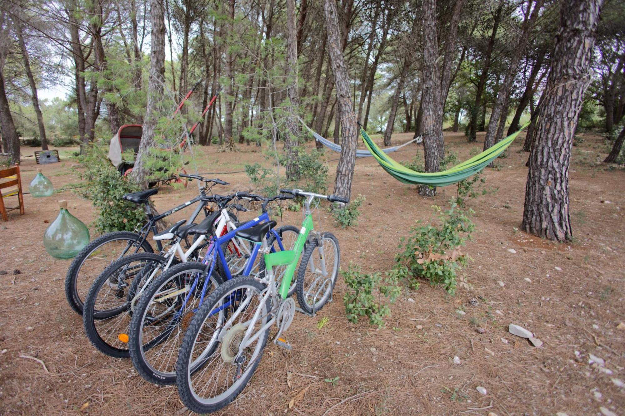 19 Secolo - Trulli Con Foresta, Bici E Barbecue Cisternino Exterior photo